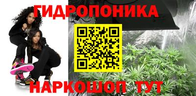 ALPHA PVP Тара
