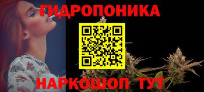 гашик Тверь