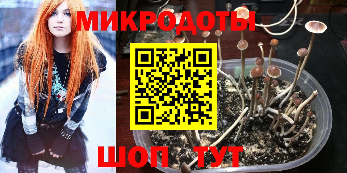 Галлюциногенные грибы мухоморы Нерюнгри